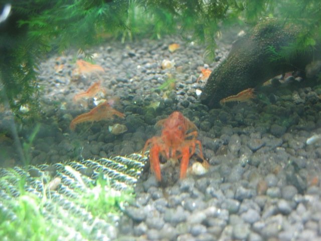 IMG_1665.JPG