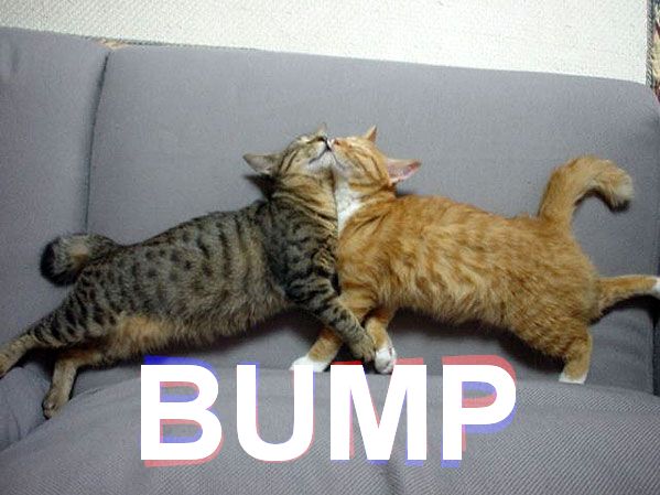 BumpE.jpg