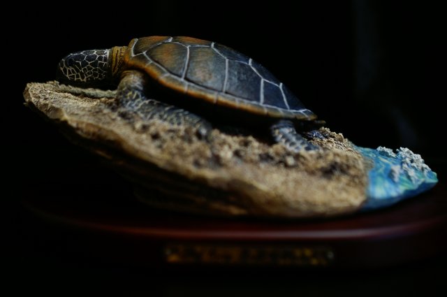 PICT2290.JPG