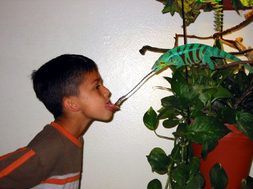 lizardkid.jpg
