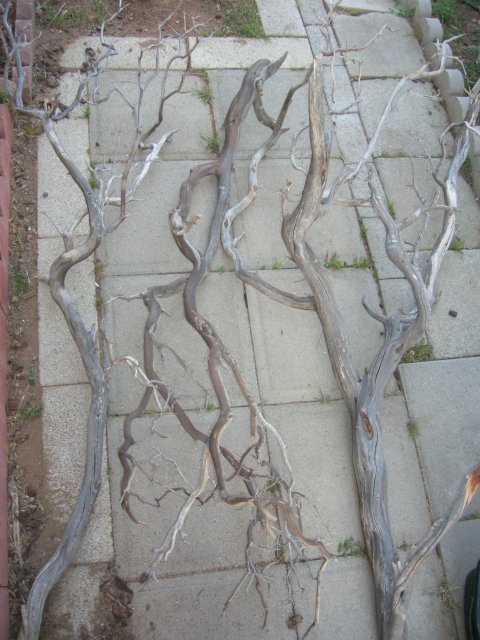 DSCN4083.JPG