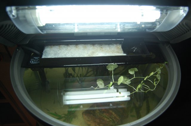 DSC_0084.JPG DSC_0084.JPG