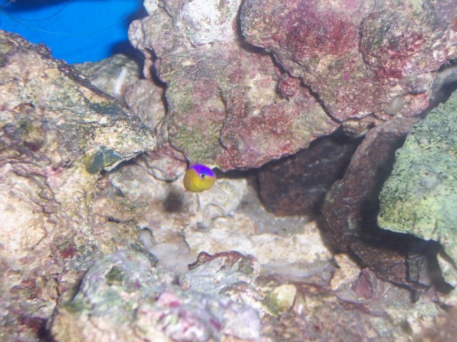 101_0090.JPG