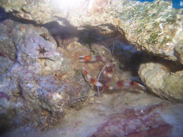 100_0099.JPG