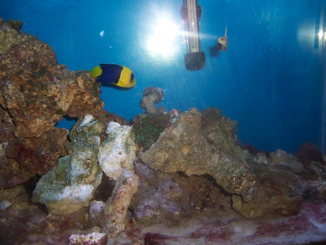 100_0103.JPG