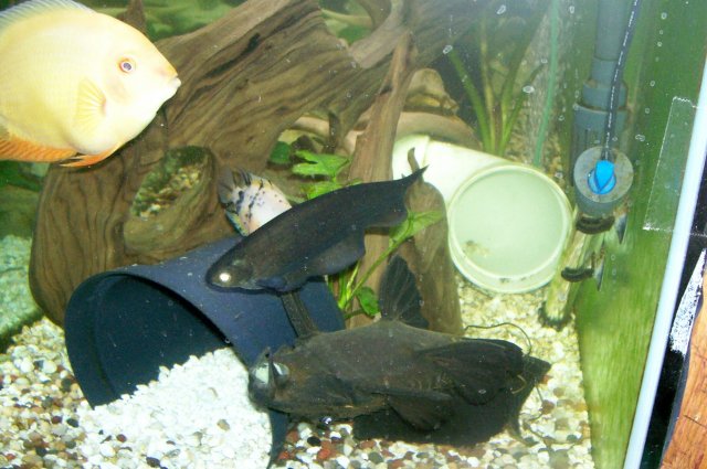 000_2700.jpg