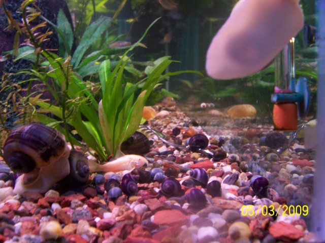 000_2701.jpg
