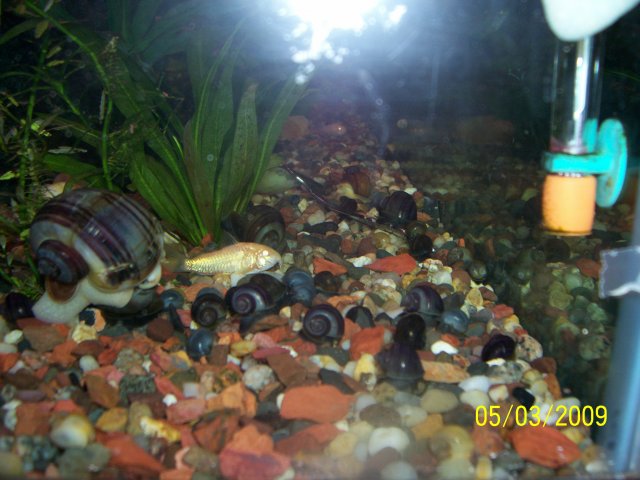 000_2702.jpg