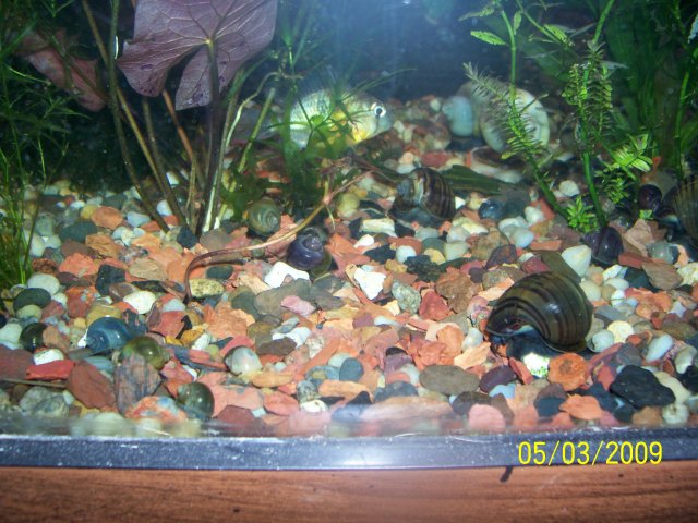000_2703.jpg