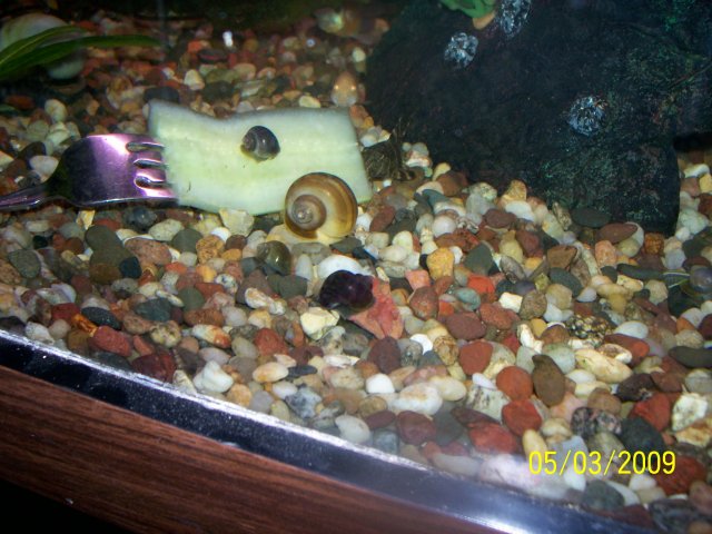 000_2705.jpg