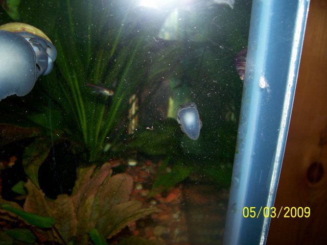 000_2708.jpg