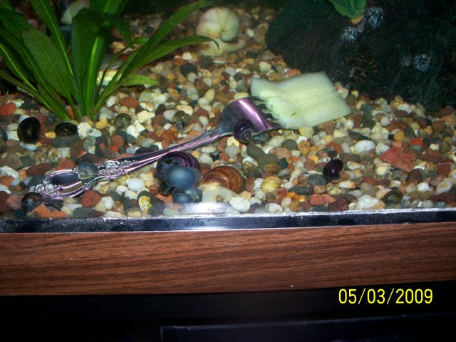 000_2709.jpg