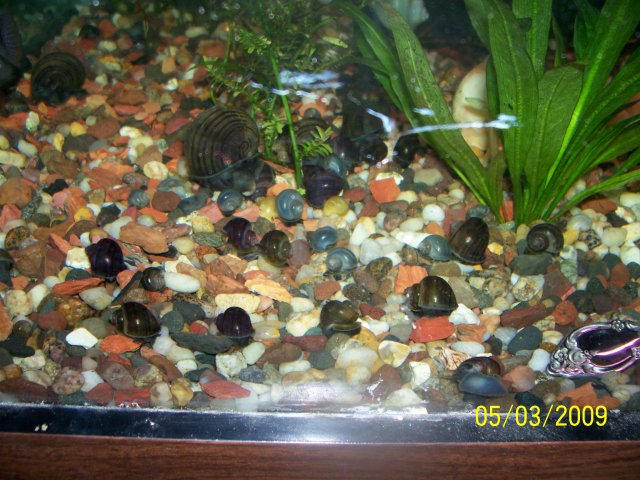 000_2710.jpg