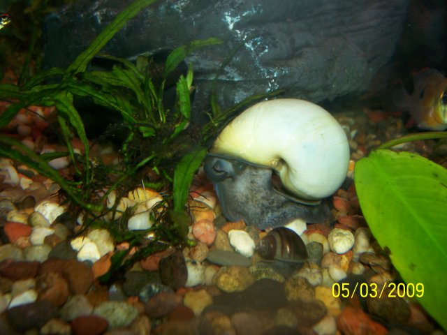 000_2712.jpg