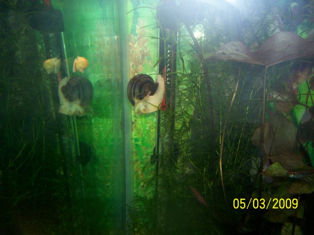 000_2713.jpg