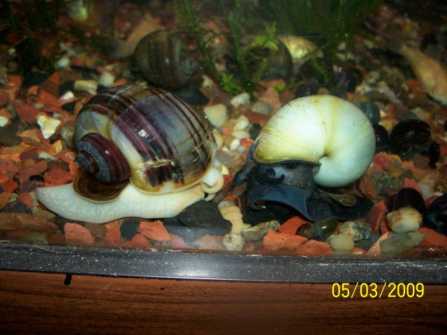 000_2715.jpg
