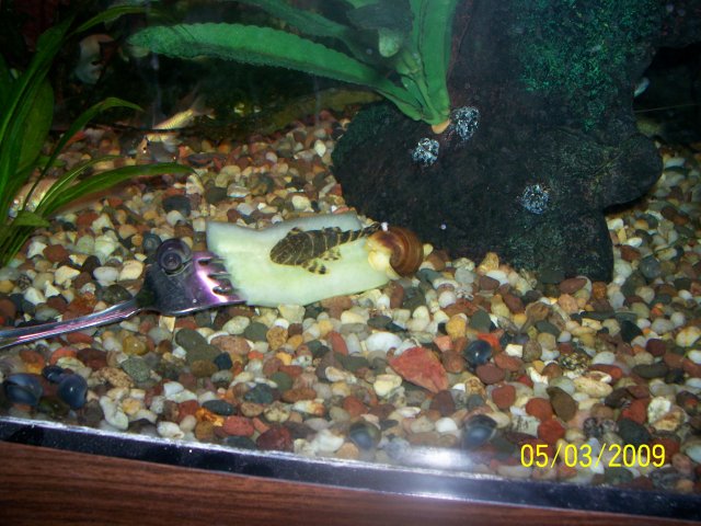 000_2716.jpg