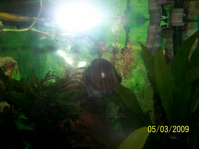 000_2717.jpg