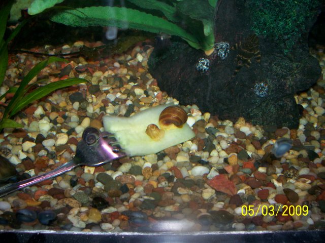 000_2719.jpg
