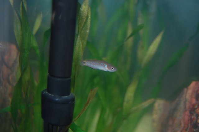 DSC_0101.JPG