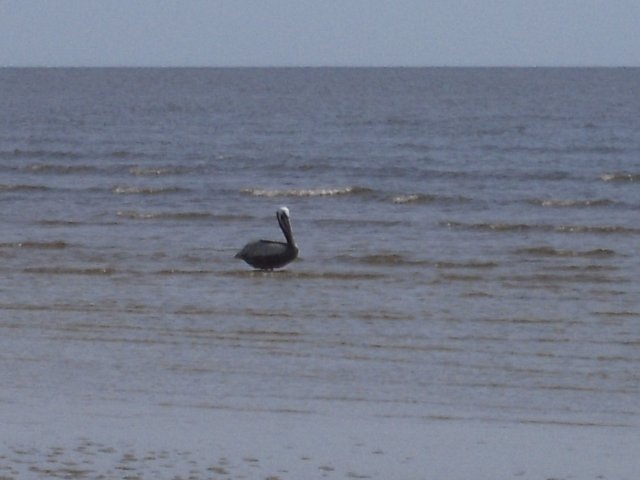 j56j 114.jpg