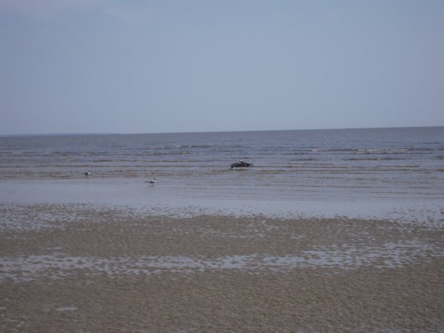 j56j 115.jpg