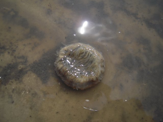 j56j 133.jpg