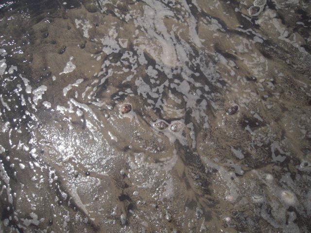j56j 134.jpg