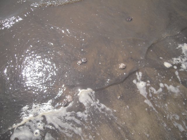 j56j 136.jpg