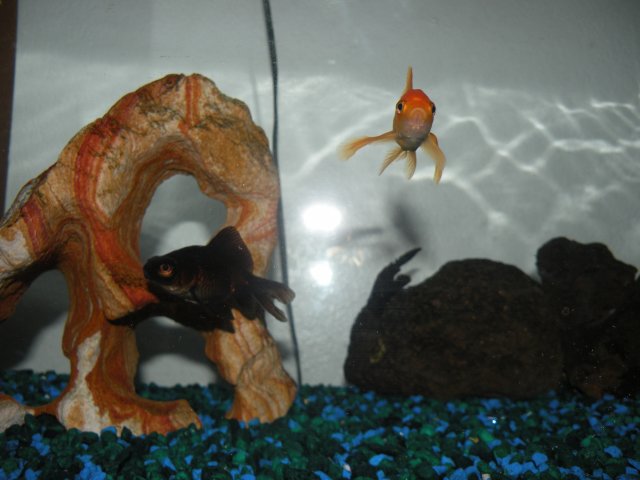DSCN6333.JPG