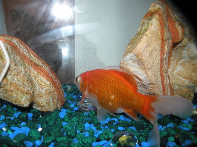 DSCN6445.JPG