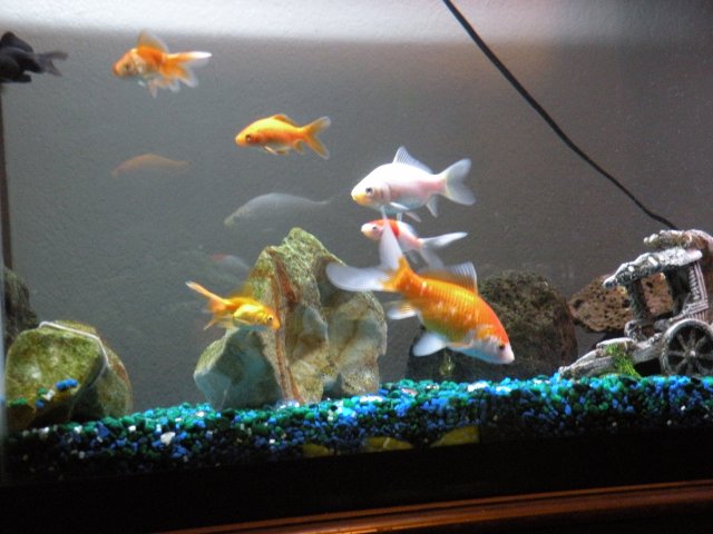 DSCN6821.JPG