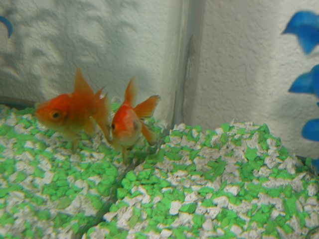 DSCN6331.JPG