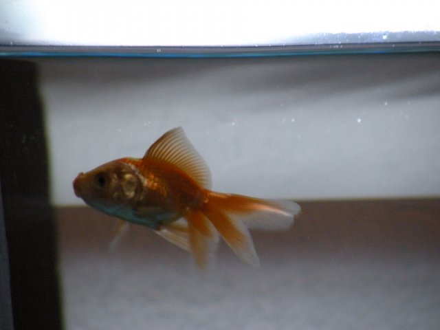 DSCN6824.JPG