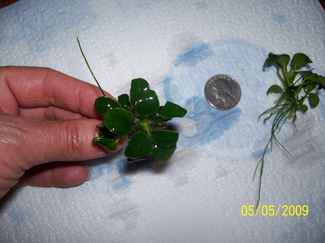 000_2730.jpg