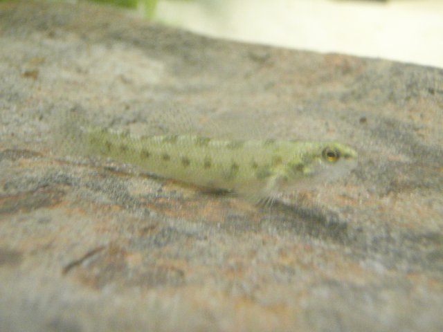 P5050250.JPG