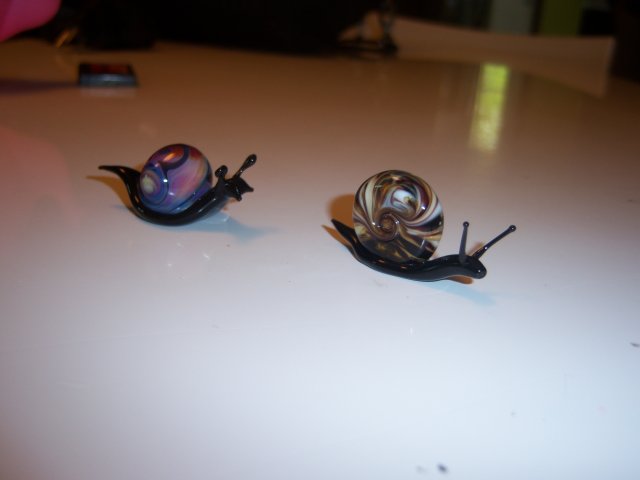 glass snails 002.jpg