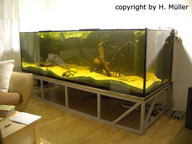 Aquarium.jpg