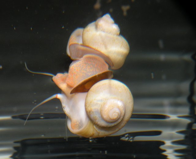 DSCN7042.JPG