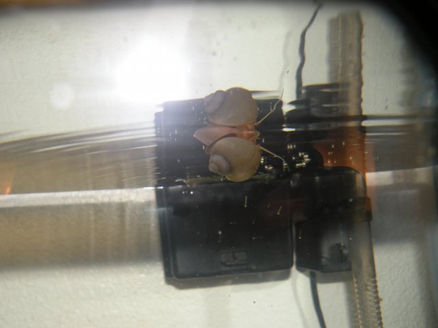 DSCN7046.JPG