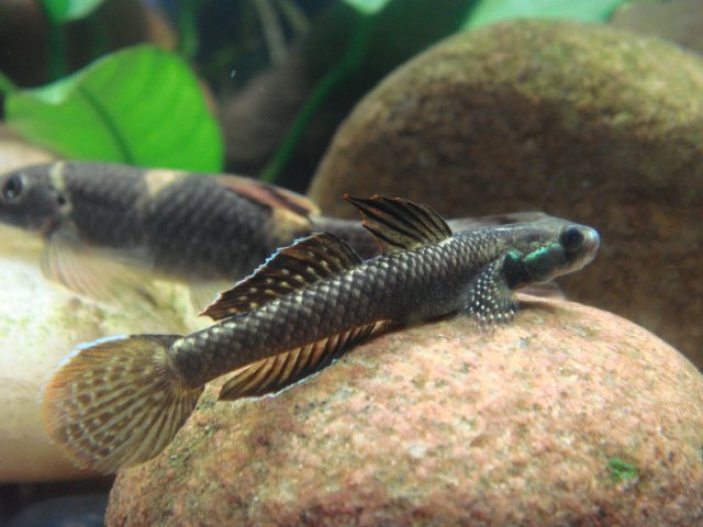 DSC02746.JPG