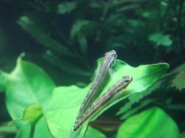 DSC02756.JPG