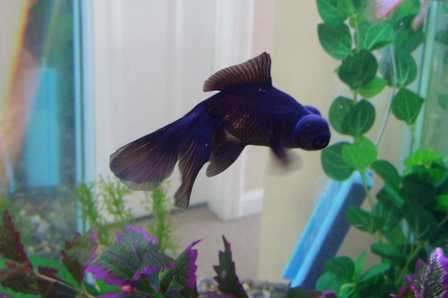 good form casper.jpg