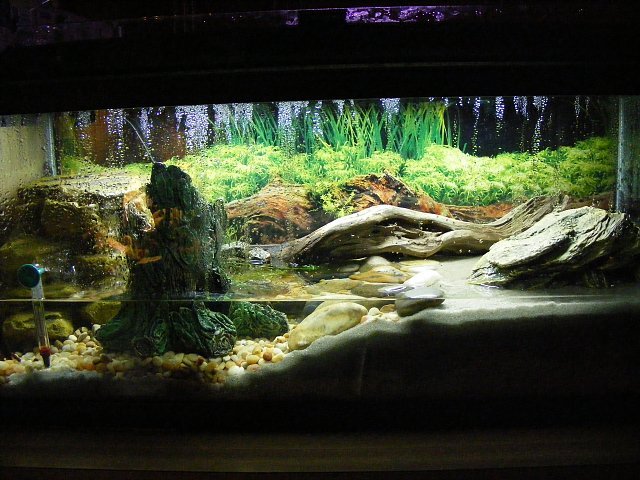 03-18-2009%20005.jpg