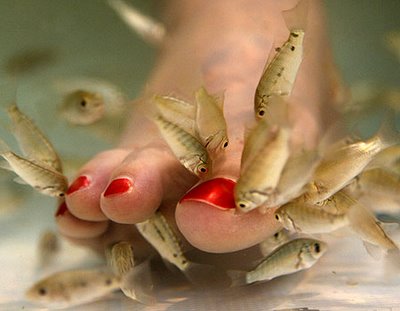 0_21_072108_fish.jpg