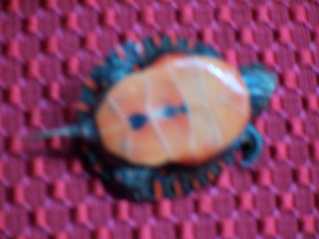 100_2496.JPG