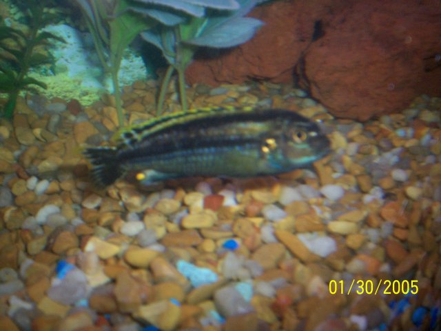 000_1525.jpg