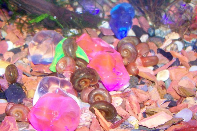 000_2803.jpg