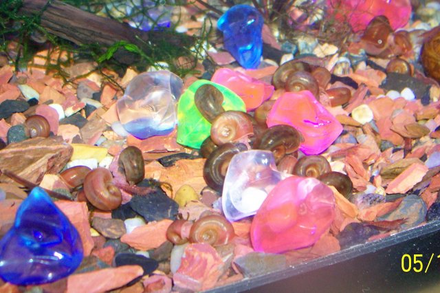 000_2804.jpg