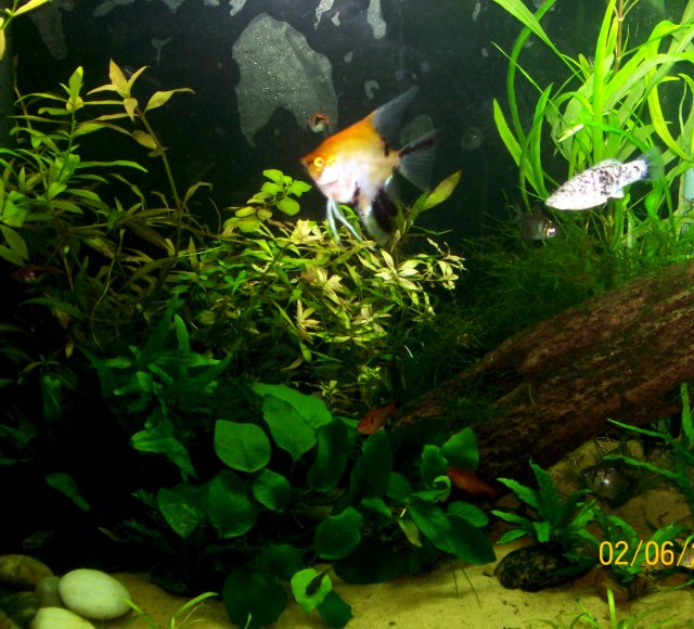 0509095.jpg